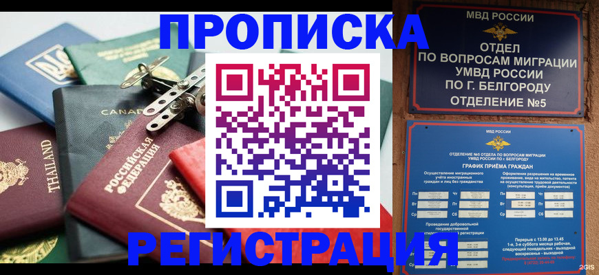 временная регистрация недорого в Асино